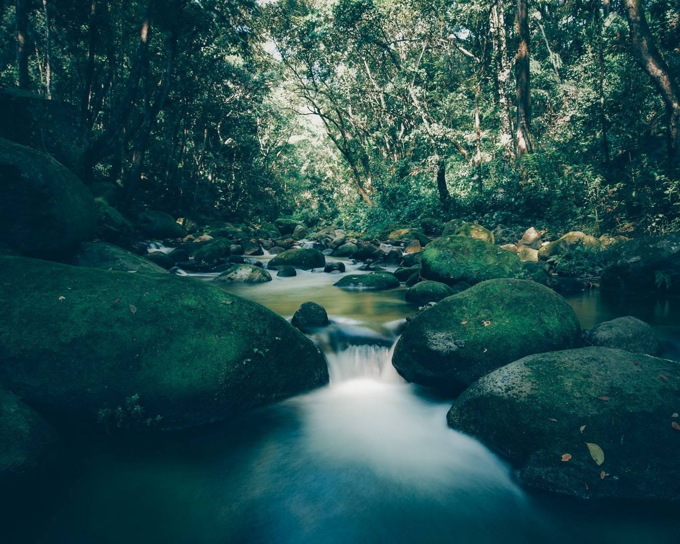 Agua cristalina corriendo sobre piedras lisas en el Río Armenta